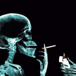 Meet your Posher, Jay